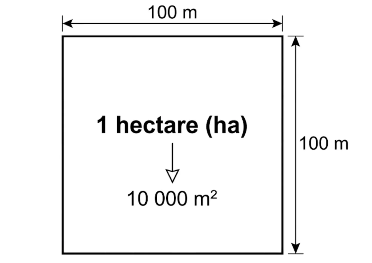 Schéma d'un carré de 100 m par 100 m représentant 1 hectare avec la conversion en 10 000 m²
